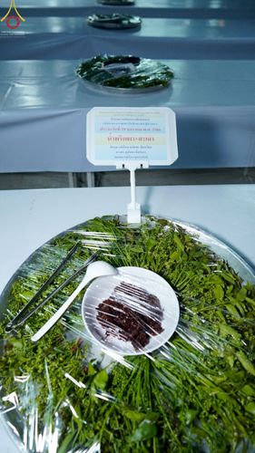 ภาพ No.74960:พิธีถวายภัตตาหารเป็นสังฆทาน แด่คณะพระธรรมยาตราฯ ในโครงการธรรมยาตรากตัญญูบูชา มหาปูชนียาจารย์ พระมงคลเทพมุนี(สด จนฺทสโร) พระผู้ปราบมาร อนุสรณ์สถาน 7 แห่ง ปีที่ 11 วันที่ 29 มกราคม พ.ศ. 2566