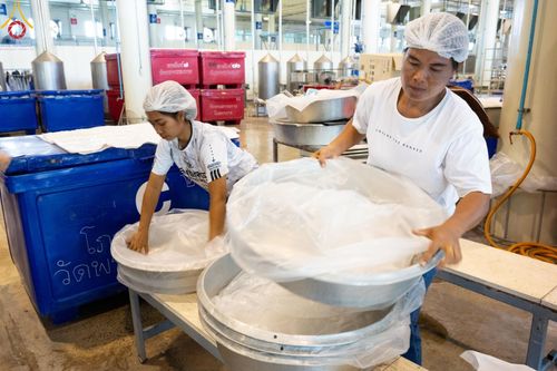 ภาพ No.60717:V.38 ทุ่มพลังเพื่อพ่อครบ 80 ปี ภาพการเตรียมงานของหน่วยงานต่างๆ เพื่อพิธีฉลองอายุวัฒนมงคล 80 ปี หลวงพ่อธัมมชโย และรับถวายมหาสังฆทาน 10,000 กว่าวัดทั่วประเทศ ในวันคุ้มครองโลก วันจันทร์ที่ 22 เมษายน พ.ศ. 2567