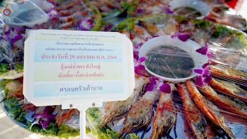 ภาพ No.74987:พิธีถวายภัตตาหารเป็นสังฆทาน แด่คณะพระธรรมยาตราฯ ในโครงการธรรมยาตรากตัญญูบูชา มหาปูชนียาจารย์ พระมงคลเทพมุนี(สด จนฺทสโร) พระผู้ปราบมาร อนุสรณ์สถาน 7 แห่ง ปีที่ 11 วันที่ 29 มกราคม พ.ศ. 2566