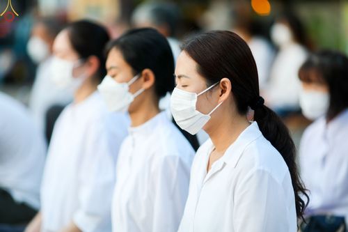 ภาพ No.73284:พิธีจุดประทีปถวายเป็นพุทธบูชา และบูชาธรรมมหาปูชนียาจารย์ ในโครงการธรรมยาตรากตัญญูบูชา มหาปูชนียาจารย์ พระมงคลเทพมุนี(สด จนฺทสโร) พระผู้ปราบมาร ปีที่ 11 ณ อนุสรณ์สถานลำดับที่ 4 สถานที่เกิดด้วยกายธรรม วัดโบสถ์ (บน) บางคูเวียง อ.บางกรวย จ.นนทบุรี วันที่ 21 