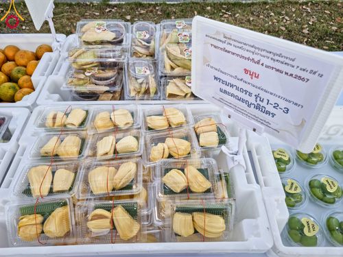 ภาพ No.106067:พิธีถวายภัตตาหารเป็นสังฆทาน แด่คณะพระธรรมยาตราฯ ในโครงการธรรมยาตรากตัญญูบูชา มหาปูชนียาจารย์ พระมงคลเทพมุนี(สด จนฺทสโร) พระผู้ปราบมาร อนุสรณ์สถาน 7 แห่ง ปีที่ 12 วันที่ 3 มกราคม พ.ศ. 2567 ณ อนุสรณ์สถานโลตัสแลนด์ จ.สุพรรณบุรี