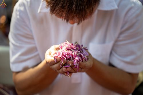 ภาพ No.305823:วันที่ 25 มกราคม พ.ศ. 2569 พิธีต้อนรับพระธรรมยาตรา วัดพระธรรมกาย(ภาพชุดที่ 3) ในโครงการธรรมยาตรา กตัญญูบูชา มหาปูชนียาจารย์ พระมงคลเทพมุนี(สด จนฺทสโร) พระผู้ปราบมาร อนุสรณ์สถาน 7 แห่ง ปีที่ 14