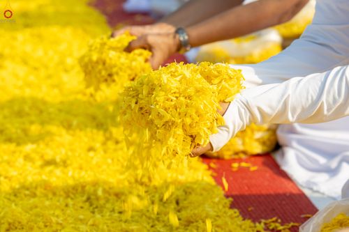 ภาพ No.299321:วันที่ 18 มกราคม พ.ศ. 2569 พิธีต้อนรับพระธรรมยาตรา ณ อนุสรณ์สถานลำดับที่ 5 สถานที่เผยแผ่วิชชาธรรมกายครั้งแรก อนุสรณ์สถานบางปลา วัดบางปลา อำเภอบางเลน จังหวัดนครปฐม ในโครงการธรรมยาตรา กตัญญูบูชา มหาปูชนียาจารย์ พระมงคลเทพมุนี(สด จนฺทสโร) พระผู้ปราบมาร อนุส