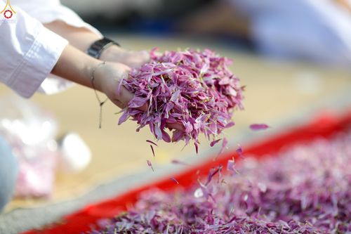 ภาพ No.287433:วันที่ 3 มกราคม พ.ศ. 2569 พิธีต้อนรับพระธรรมยาตรา ในโครงการธรรมยาตรา กตัญญูบูชา มหาปูชนียาจารย์ พระมงคลเทพมุนี(สด จนฺทสโร) พระผู้ปราบมาร อนุสรณ์สถาน 7 แห่ง ปีที่ 14 ณ อนุสรณ์สถานมหาวิหารพระมงคลเทพมุนี (โลตัสแลนด์) อ.สองพี่น้อง จ.สุพรรณบุรี