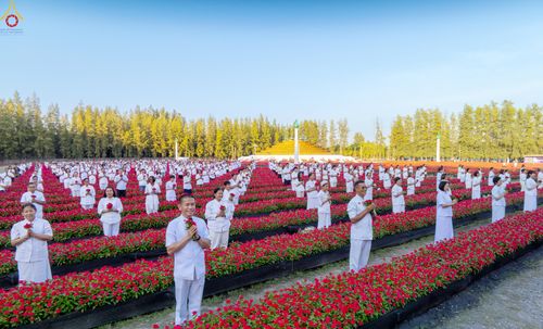 ภาพ No.280939:วันที่ 28 ธันวาคม พ.ศ.2568 กิจกรรมเก็บดอกแพงรวย ณ ทุ่งสวรรค์ตะวันฉาย วัดพระธรรมกาย