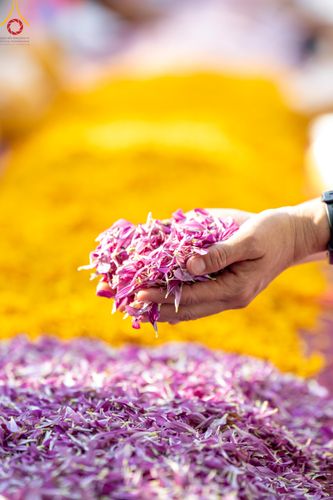 ภาพ No.105690:พิธีต้อนรับพระธรรมยาตรา ในโครงการธรรมยาตรากตัญญูบูชา มหาปูชนียาจารย์ พระมงคลเทพมุนี(สด จนฺทสโร) พระผู้ปราบมาร อนุสรณ์สถาน 7 แห่ง ปีที่ 12 วันที่ 3 มกราคม พ.ศ. 2567 ณ อนุสรณ์สถานโลตัสแลนด์ จ.สุพรรณบุรี