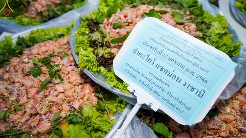 ภาพ No.74547:พิธีถวายภัตตาหารเป็นสังฆทาน แด่คณะพระธรรมยาตราฯ ในโครงการธรรมยาตรากตัญญูบูชา มหาปูชนียาจารย์ พระมงคลเทพมุนี(สด จนฺทสโร) พระผู้ปราบมาร อนุสรณ์สถาน 7 แห่ง ปีที่ 11 วันที่ 27 มกราคม พ.ศ. 2566