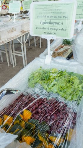 ภาพ No.72184:พิธีถวายภัตตาหารเป็นสังฆทาน แด่คณะพระธรรมยาตราฯ ในโครงการธรรมยาตรากตัญญูบูชา มหาปูชนียาจารย์ พระมงคลเทพมุนี(สด จนฺทสโร) พระผู้ปราบมาร อนุสรณ์สถาน 7 แห่ง ปีที่ 11 วันที่ 18 มกราคม พ.ศ. 2566