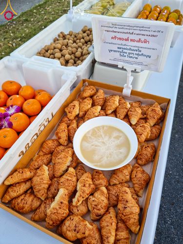 ภาพ No.106063:พิธีถวายภัตตาหารเป็นสังฆทาน แด่คณะพระธรรมยาตราฯ ในโครงการธรรมยาตรากตัญญูบูชา มหาปูชนียาจารย์ พระมงคลเทพมุนี(สด จนฺทสโร) พระผู้ปราบมาร อนุสรณ์สถาน 7 แห่ง ปีที่ 12 วันที่ 3 มกราคม พ.ศ. 2567 ณ อนุสรณ์สถานโลตัสแลนด์ จ.สุพรรณบุรี