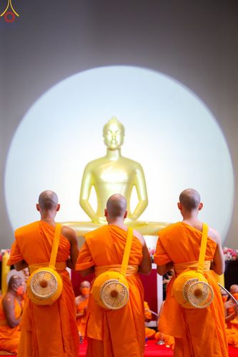 ภาพ No.81723:พิธีอุปสมบทอุทิศชีวิต สามเณรเปรียญธรรม 11 รูป ในวันวิสาขบูชา วันเสาร์ที่ 3 มิถุนายน 2566 ณ อุโบสถพระไตรปิฎก วัดพระธรรมกาย จ.ปทุมธานี