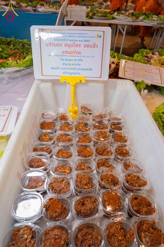 ภาพ No.303638:วันที่ 27 มกราคม พ.ศ. 2569 พิธีถวายภัตตาหารเป็นสังฆทาน แด่พระธรรมยาตรา ณ วัดพระธรรมกาย  จังหวัดปทุมธานี ในโครงการธรรมยาตรา กตัญญูบูชา มหาปูชนียาจารย์ พระมงคลเทพมุนี(สด จนฺทสโร) พระผู้ปราบมาร อนุสรณ์สถาน 7 แห่ง ปีที่ 14