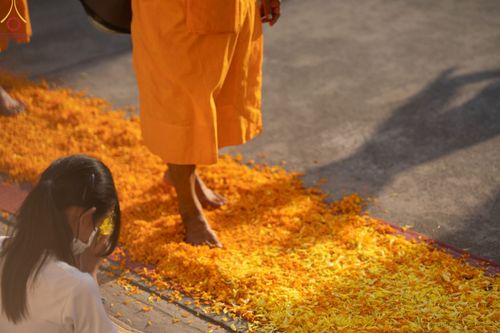 ภาพ No.72504:พิธีต้อนรับพระธรรมยาตรา ในโครงการธรรมยาตรากตัญญูบูชา มหาปูชนียาจารย์ พระมงคลเทพมุนี(สด จนฺทสโร) พระผู้ปราบมาร อนุสรณ์สถาน 7 แห่ง ปีที่ 11 วันที่ 18 มกราคม พ.ศ. 2566 ณ อนุสรณ์สถานลำดับที่ 4 สถานที่เกิดด้วยกายธรรม วัดโบสถ์ (บน) บางคูเวียง อ.บางกรวย จ.นนทบุ
