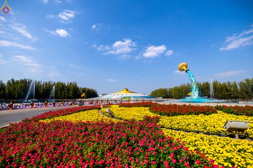 ภาพ No.304780:วันที่ 25 มกราคม พ.ศ. 2569 พิธีต้อนรับพระธรรมยาตรา (ภาพชุดที่ 2) รร.สามัคคีราษฏร์บำรุง-วัดพระธรรมกาย ในโครงการธรรมยาตรา กตัญญูบูชา มหาปูชนียาจารย์ พระมงคลเทพมุนี(สด จนฺทสโร) พระผู้ปราบมาร อนุสรณ์สถาน 7 แห่ง ปีที่ 14