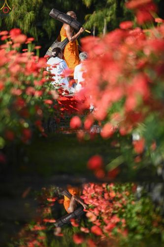 ภาพ No.287014:วันที่ 2 มกราคม พ.ศ.2569 พิธีต้อนรับพระธรรมยาตรา ครั้งที่ 1 (ภาพชุดที่ 2) ณ วัดพระธรรมกาย (วิหารหลวงปู่ - พระมหาธรรมกายเจดีย์)