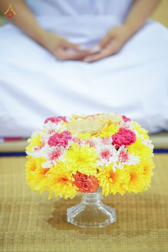 ภาพ No.81590:พิธีหล่อพระประธานเพื่อประดิษฐาน ณ ห้องแก้วสารพัดนึก 2 เนื่องในวันวิสาขบูชา วันเสาร์ที่ 3 มิถุนายน 2566 ณ วัดพระธรรมกาย จ.ปทุมธานี