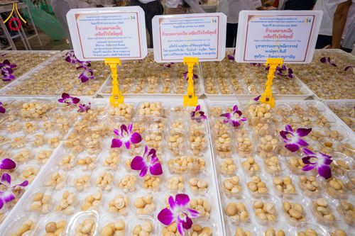 ภาพ No.306287:วันที่ 30 มกราคม พ.ศ. 2569 พิธีถวายภัตตาหารเป็นสังฆทาน แด่พระธรรมยาตรา ณ วัดพระธรรมกาย  จังหวัดปทุมธานี ในโครงการธรรมยาตรา กตัญญูบูชา มหาปูชนียาจารย์ พระมงคลเทพมุนี(สด จนฺทสโร) พระผู้ปราบมาร อนุสรณ์สถาน 7 แห่ง ปีที่ 14