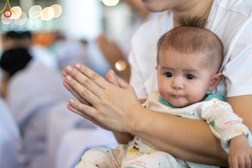 ภาพ No.149902:พิธีตักบาตร , พิธีปฎิบัติธรรม , พิธีถวายภัตตาหารเมนูสวรรค์ ในพรรษาแห่งการเข้าถึงธรรม วันธรรมชัย วันอังคารที่ 27 สิงหาคม พ.ศ.2567 ณ สภาธรรมกายสากล วัดพระธรรมกาย