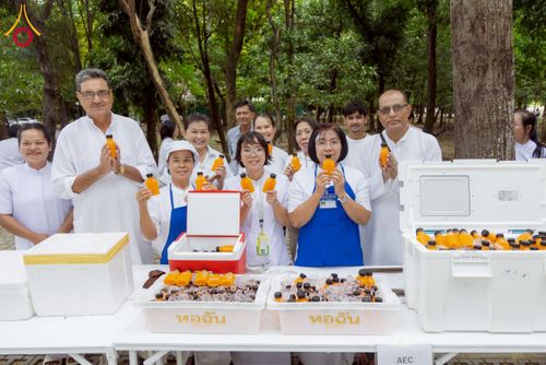 ภาพ No.233143:วันที่ 11 กรกฏาคม พ.ศ. 2568 พิธีอธิษฐานพรรษา ของคณะสงฆ์ ณ โบสถ์พระไตรปิฎก วัดพระธรรมกาย ต.คลองสาม อ.คลองหลวง จ.ปทุมธานี