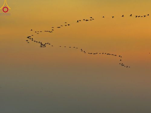 ภาพ No.112169:พิธีจุดประทีปถวายเป็นพุทธบูชา และบูชาธรรมมหาปูชนียาจารย์ พระมงคลเทพมุนี(สด จนฺทสโร) ในโครงการธรรมยาตรา กตัญญูบูชา มหาปูชนียาจารย์ พระมงคลเทพมุนี(สด จนฺทสโร) พระผู้ปราบมาร อนุสรณ์สถาน 7 แห่ง ปีที่ 12 วันที่ 14 มกราคม พ.ศ. 2567 ณ วัดสองพี่น้อง อ.สองพี่น้อง