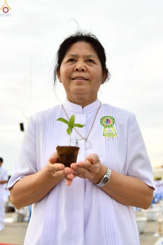 ภาพ No.252891:วันที่ 10 ตุลาคม พ.ศ. 2568 พิธีปลูกต้นทรัพย์บานชื่น ณ ลานธรรม วัดพระธรรมกาย