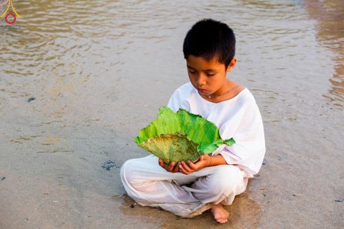 ภาพ No.63273:Photo Story  มหัศจรรย์วัดดงดินแดง Episode 1  พิธีปลงผมนาคธรรมทายาท  ในโครงการบรรพชาอุปสมบทหมู่ ฟื้นฟูพระพุทธศาสนาทั่วไทย วัดดงดินแดง ณ ลำน้ำแม่ตื่น อ.อมก๋อย จ.เชียงใหม่ วันที่ 2 เมษายน พ.ศ. 2567