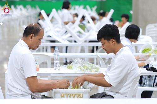 ภาพ No.303312:วันที่ 15-21 มกราคม พ.ศ.2569 ปลิดกลีบดอกเบญจทรัพย์ เพื่อโปรยต้อนรับพระธรรมยาตรา ในโครงการธรรมยาตรา กตัญญูบูชา มหาปูชนียาจารย์ พระมงคลเทพมุนี(สด จนฺทสโร) พระผู้ปราบมาร อนุสรณ์สถาน 7 แห่ง ปีที่ 14 ณ วิหารคด วัดพระธรรมกาย