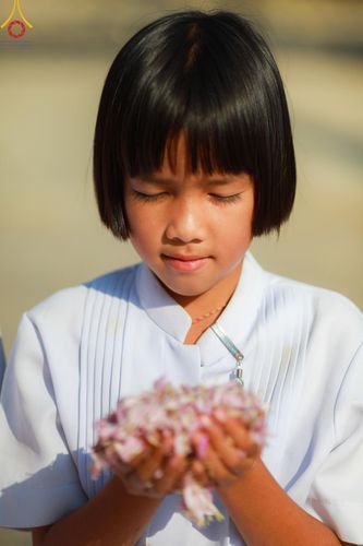 ภาพ No.116605:พิธีต้อนรับพระธรรมยาตรา ปีที่ 12 ณ อนุสรณ์สถานบางปลา จ.นครปฐม วันที่ 21 มกราคม พ.ศ. 2567