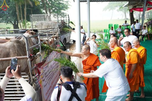 ภาพ No.152359:พิธีถวายมหาสังฆทานแด่พระภิกษุสงฆ์จำนวน 400 รูป ปีที่ 20 ณ ศูนย์อบรมเยาวชนผาสุกวนิช จ.ราชบุรี วันเสาร์ที่ 31 สิงหาคม พ.ศ. 2567