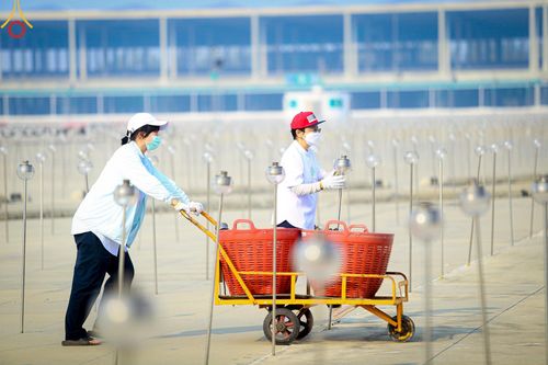 ภาพ No.124092:V.26 มาฆะ มากันนะ การรับบุญเตรียมงาน ของเจ้าหน้าที่หน่วยงานต่างๆ เพื่อวันมาฆบูชา วันเสาร์ที่ 24 กุมภาพันธ์  พ.ศ. 2567 ณ วัดพระธรรมกาย จ.ปทุมธานี