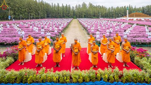 ภาพ No.103999:สาธุชนร่วมรับบุญเก็บดอกเบญจทรัพย์ ในวันอาทิตย์ที่ 24 ธันวาคม พ.ศ. 2566 ณ ทุ่งสวรรค์ตะวันฉาย บริเวณวัดพระธรรมกาย จ.ปทุมธานี