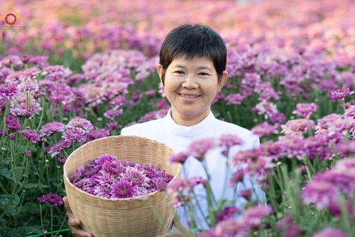 ภาพ No.102904:สาธุชนร่วมรับบุญเก็บดอกเบญจทรัพย์ ในวันที่ 19 ธันวาคม พ.ศ. 2566 (วันแรก) ณ บริเวณวัดพระธรรมกาย จ.ปทุมธานี