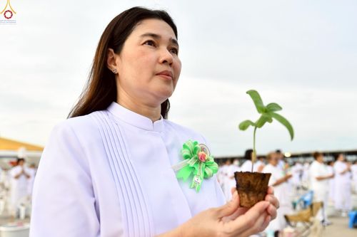 ภาพ No.252885:วันที่ 10 ตุลาคม พ.ศ. 2568 พิธีปลูกต้นทรัพย์บานชื่น ณ ลานธรรม วัดพระธรรมกาย