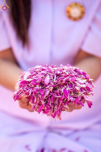 ภาพ No.113089:พิธีต้อนรับพระธรรมยาตรา ปีที่ 12 วันที่ 15 มกราคม พ.ศ. 2567 ณ วัดโบสถ์บน จ.นนทบุรี