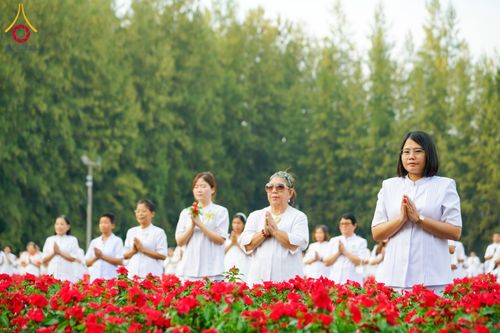 ภาพ No.185449:กิจกรรมเก็บดอกแพงรวย วันอาทิตย์ที่ 22 ธันวาคม พ.ศ. 2567 ณ ทุ่งสวรรค์ ตะวันฉาย วัดพระธรรมกาย