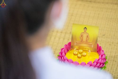 ภาพ No.81549:พิธีตักบาตร ข้าวสารอาหารแห้ง และพิธีบูชาข้าวพระ ณ สภาธรรมกายสากล วัดพระธรรมกาย วันเสาร์ที่ 3 มิถุนายน 2566