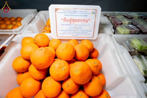 ภาพ No.298555:วันที่ 20 มกราคม พ.ศ. 2569 พิธีถวายภัตตาหารเป็นสังฆทาน แด่พระธรรมยาตรา ณ อนุสรณ์สถานบางปลา วัดบางปลา อำเภอบางเลน จังหวัดนครปฐม ในโครงการธรรมยาตรา กตัญญูบูชา มหาปูชนียาจารย์ พระมงคลเทพมุนี(สด จนฺทสโร) พระผู้ปราบมาร อนุสรณ์สถาน 7 แห่ง ปีที่ 14