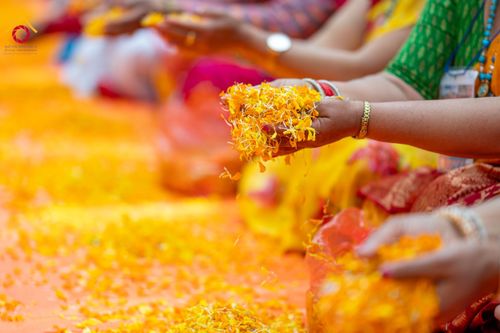 ภาพ No.132093:พิธีต้อนรับ พระ-สามเณร ธรรมยาตรา ในโครงการบรรพชา 1,250 รูป ณ แดนประสูติ สวนลุมพินี ประเทศเนปาล วันที่ 16-17 มีนาคม พ.ศ. 2567