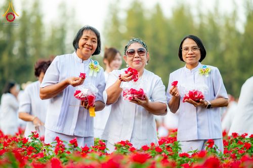 ภาพ No.185519:กิจกรรมเก็บดอกแพงรวย วันอาทิตย์ที่ 22 ธันวาคม พ.ศ. 2567 ณ ทุ่งสวรรค์ ตะวันฉาย วัดพระธรรมกาย