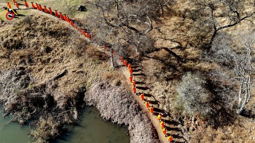 ภาพ No.232893:วันที่ 1 กรกฏาคม พ.ศ. 2568 Dhammayatra in South Africa 2025 ธรรมยาตราแอฟริกาใต้ — เส้นทางแห่งสติ สมาธิ และปัญญา ธรรมทายาทที่ได้อบรมโครงการบรรพชาอุปสมบทหมู่ครั้งที่ 2 ณ วัดพระธรรมกายโจฮันเนสเบิร์ก ประเทศแอฟริกาใต้