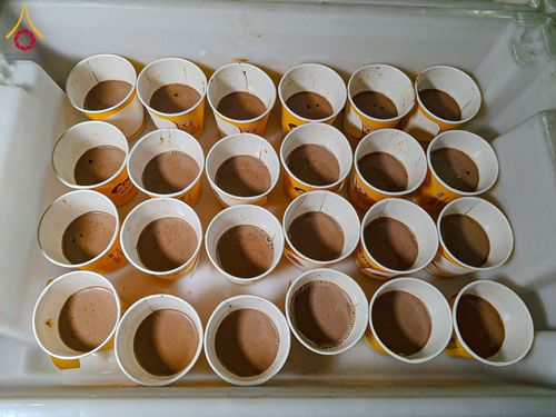 ภาพ No.198378:พิธีถวายภัตตาหารเป็นสังฆทาน แด่พระธรรมยาตรา ณ อนุสรณ์สถานบางปลา วัดบางปลา อำเภอบางเลน จังหวัดนครปฐม ในโครงการธรรมยาตรา กตัญญูบูชา มหาปูชนียาจารย์ พระมงคลเทพมุนี(สด จนฺทสโร) พระผู้ปราบมาร อนุสรณ์สถาน 7 แห่ง ปีที่ 13 วันที่ 20 มกราคม พ.ศ. 2568