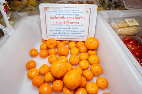 ภาพ No.303948:วันที่ 28 มกราคม พ.ศ. 2569 พิธีถวายภัตตาหารเป็นสังฆทาน แด่พระธรรมยาตรา ณ วัดพระธรรมกาย  จังหวัดปทุมธานี ในโครงการธรรมยาตรา กตัญญูบูชา มหาปูชนียาจารย์ พระมงคลเทพมุนี(สด จนฺทสโร) พระผู้ปราบมาร อนุสรณ์สถาน 7 แห่ง ปีที่ 14