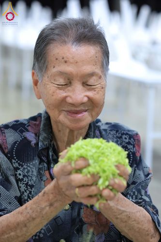 ภาพ No.303318:วันที่ 15-21 มกราคม พ.ศ.2569 ปลิดกลีบดอกเบญจทรัพย์ เพื่อโปรยต้อนรับพระธรรมยาตรา ในโครงการธรรมยาตรา กตัญญูบูชา มหาปูชนียาจารย์ พระมงคลเทพมุนี(สด จนฺทสโร) พระผู้ปราบมาร อนุสรณ์สถาน 7 แห่ง ปีที่ 14 ณ วิหารคด วัดพระธรรมกาย