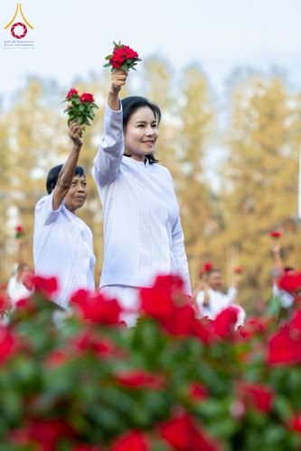 ภาพ No.185481:กิจกรรมเก็บดอกแพงรวย วันอาทิตย์ที่ 22 ธันวาคม พ.ศ. 2567 ณ ทุ่งสวรรค์ ตะวันฉาย วัดพระธรรมกาย