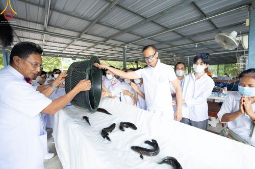 ภาพ No.86064:งานบุญครบรอบ 12 ปี ณ ศูนย์อบรมเยาวชนนครปฐม วันเสาร์ ที่ 19 สิงหาคม พ.ศ. 2566 พิธีทอดผ้าป่าบำรุงศูนย์ และพิธีเจริญพระพุทธมนต์ ฉลองหอฉันคุณยายฯ ประธานสงฆ์  พระมหาคมสัน  ธมฺมาสนฺโน ประธานบุญพิธี กัลฯสุนทรินทร์  จันทนา และคณะเจ้าภาพจังหวัดนครปฐม