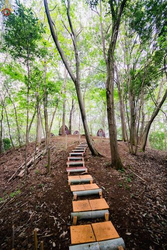 ภาพ No.136501:คณะพระภิกษุสงฆ์และกัลยาณมิตรชาวสิงคโปร์ เดินทางมาปฏิบัติธรรม ณ วัดป่าธรรมกายนานาชาติโทชิหงิ ประเทศญี่ปุ่น ระหว่างวันที่ 27 เมษายน  - 2 พฤษภาคม พ.ศ. 2567