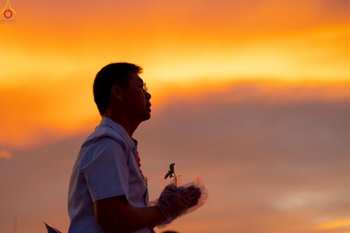 ภาพ No.253012:วันที่ 10 ตุลาคม พ.ศ. 2568 พิธีปลูกต้นทรัพย์บานชื่น ณ ลานธรรม วัดพระธรรมกาย