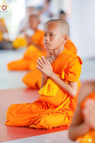 ภาพ No.161584:โครงการบรรพชาสามเณรภาคฤดูฝน รุ่นที่ 14 วันเสาร์ที่ 12 ตุลาคม พ.ศ. 2567  ณ ศูนย์ปฏิบัติธรรมสวนผึ้ง จังหวัดราชบุรี