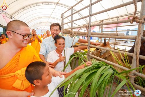 ภาพ No.161179:พิธีถวายมหาสังฆทาน 31 วัด , พิธีบุพเปตพลี , พิธีไถ่ชีวิตโค และ ปล่อยพันธ์ุปลาจำนวน 50,000 ชีวิต ณ ศูนย์การศึกษาจอมบึง ต.รางบัว อ.จอมบึง จ.ราชบุรี วันที่ 28 กันยายน พ.ศ. 2567