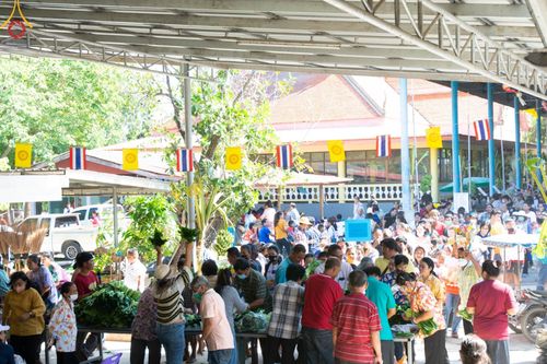 ภาพ No.98409:พิธีทอดกฐินสามัคคีทั่วไทย 5,000 วัด ณ วัดท่าเสา จ.นครปฐม วันที่ 25 พฤศจิกายน พ.ศ. 2566