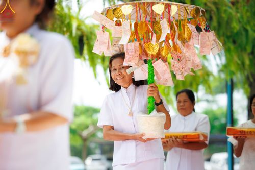 ภาพ No.97675:พิธีทอดกฐินสามัคคี เพื่อทำระบบไฟฟ้าและอุปกรณ์ส่องสว่าง ณ ธุดงคสถานบ้านหมี่ จ.ลพบุรี วันที่ 19 พฤศจิกายน พ.ศ. 2566